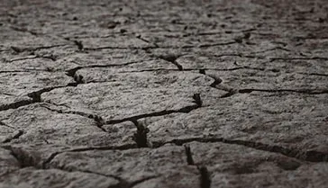 Soil Stabilization Near Me